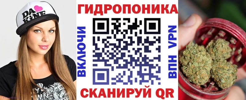 что такое   МЕГА как зайти  Конопля план  Няндома 